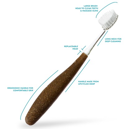 Source Toothbrush
